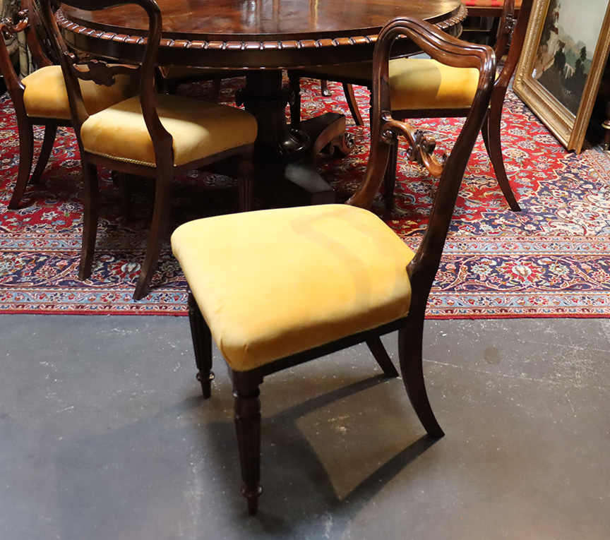 Set of Six William IV Rosewood Chairs